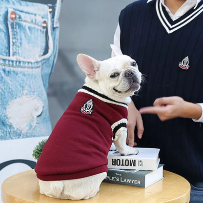 Scholar Dog Vest